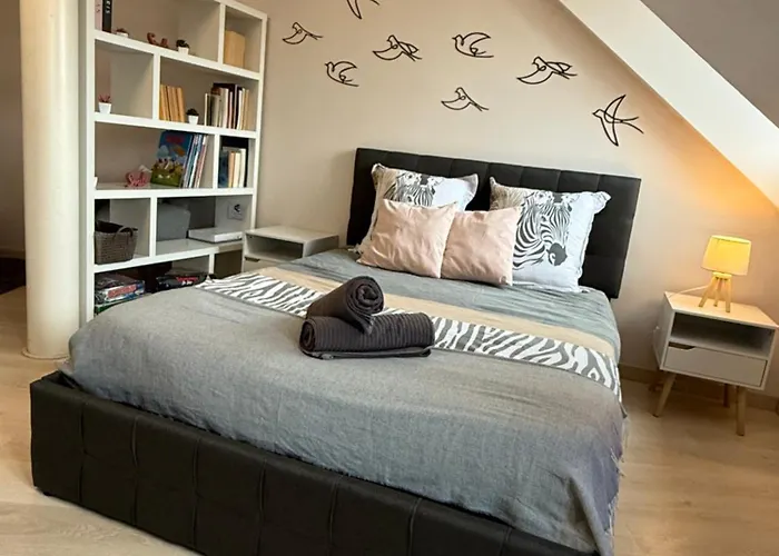 Appartement Strasbourg Centre