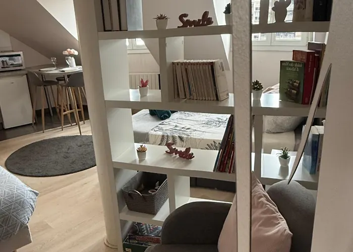 Appartement Strasbourg Centre