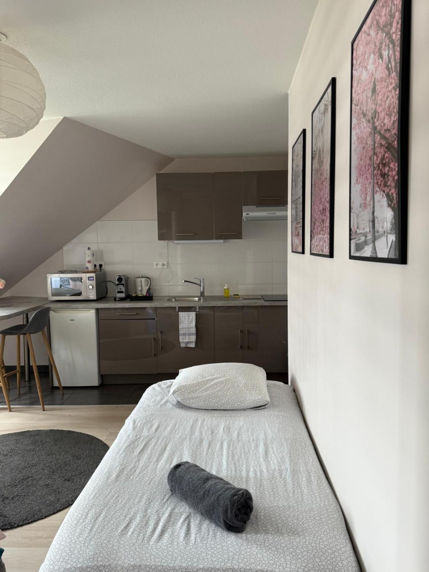 Centre Apartment Straßburg