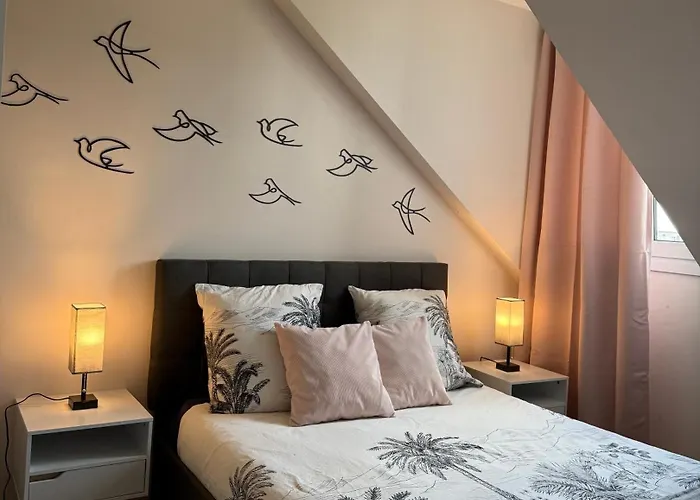 Appartement Strasbourg Centre